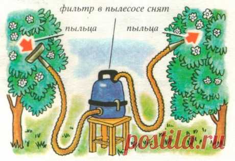 Хозяйственные хитрости по-советски