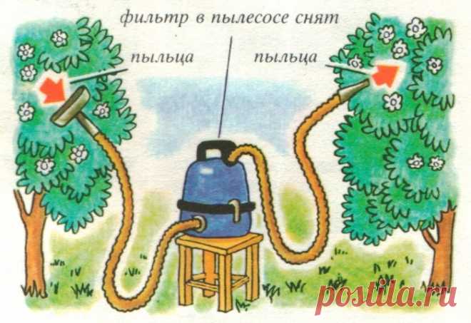 Хозяйственные хитрости по-советски