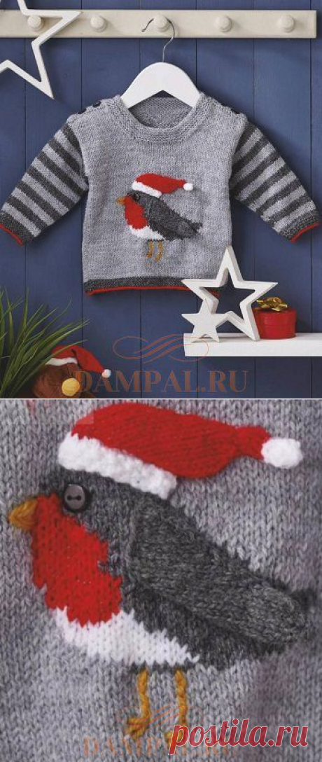 Детский джемпер «Rockin' Robin» | DAMские PALьчики. ru