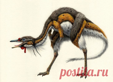 Шувууйя динозавр ⭐ Кто это, образ жизни, что ест, где обитает, враги