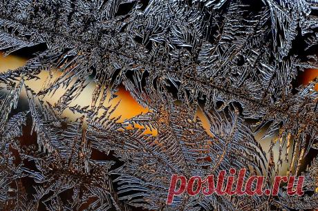 Мороз-художник — National Geographic Россия