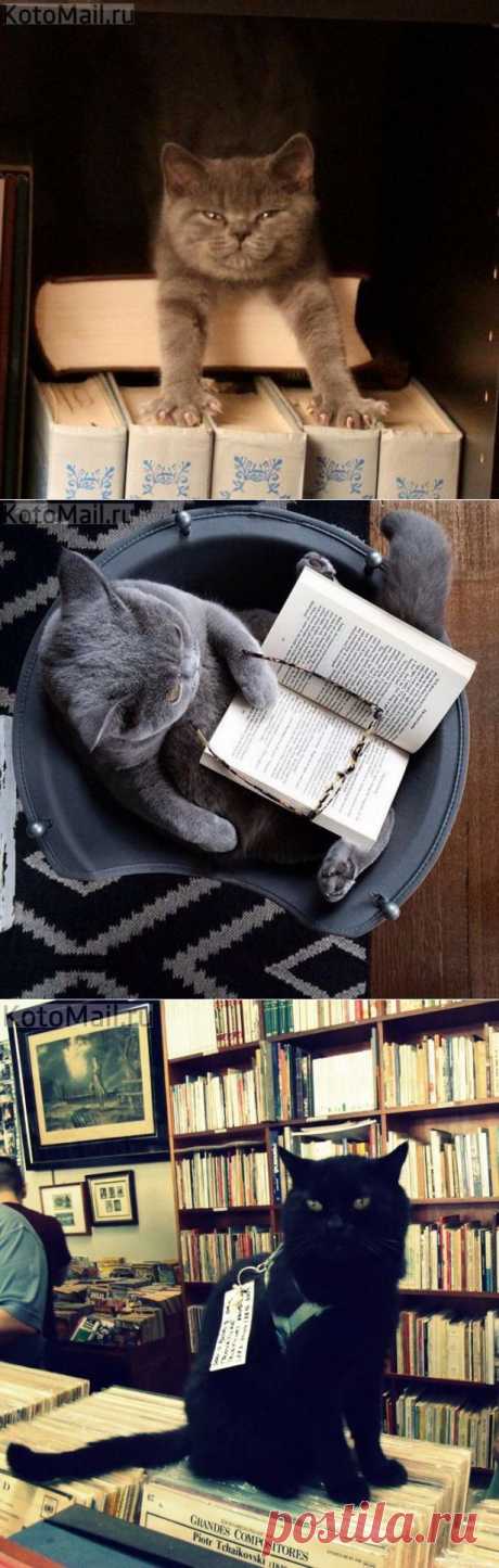 Учение - свет!
