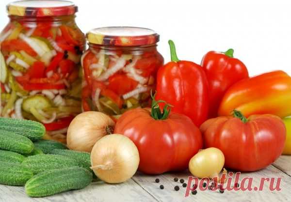 Вкусные рецепты
