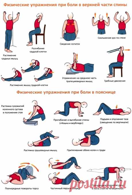 Физические упражнения при боли в верхней части спины и боли в пояснице