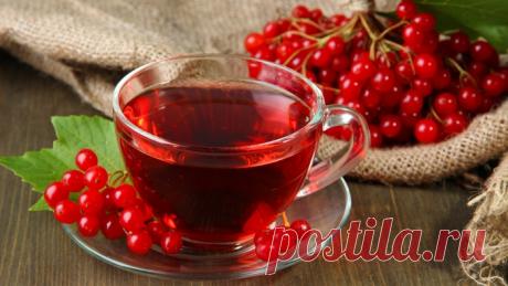 С КАЛИНОЙ ДРУЖЕН – ВРАЧ НЕ НУЖЕН. ЦЕЛЕБНЫЕ свойства КАЛИНЫ: простые рецепты.
