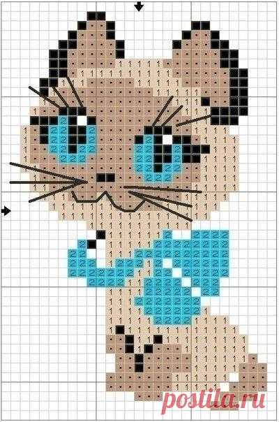 Котики