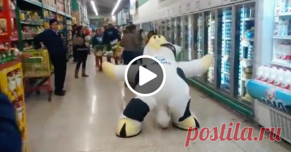 Вот такую себе хочется работу по понедельникам! :) Эта милка сделает ваш день.