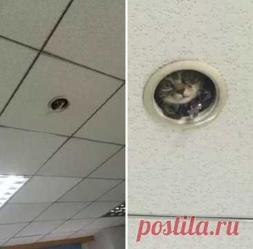 Главное их всё устраивает
