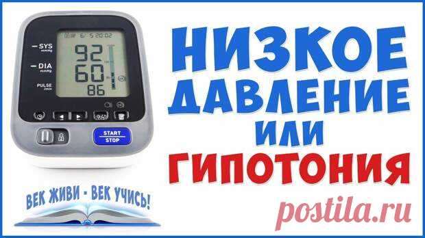 Низкое давление
В народной медицине немало хороших рецептов от низкого давления. * 6 лимонов среднего размера хорошо моют, удаляют косточки, пропускают через мясорубку, перемешивают и перекладывают в 3-литровую банку. Добавляют 1 л холодной кипяченой воды, настаивают 36 часов в холодильнике в закрытой банке. Затем добавляют 500 г пчелиного меда, перемешивают и вновь ставят в холодильник на 36 […]
Читай пост далее на сайте. Жми ⏫ссылку выше