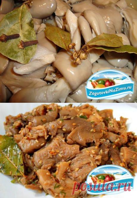 Маринованные вешенки. Самые популярные рецепты » Заготовки на зиму - это варенье, соленье, джемы, засолка, компоты, консервирование, маринование