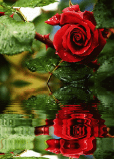 Alaaddin BOZKIR – Google+