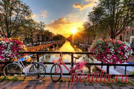 Лучшие русскоязычные гиды мира. Подгруппа при Лягушке