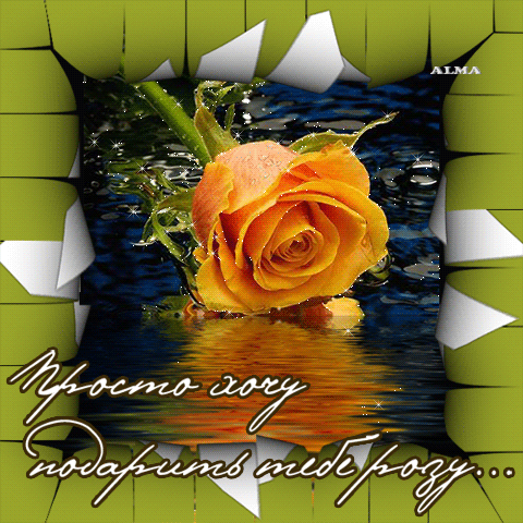 7f1c8bbdec1b.gif (480×480)