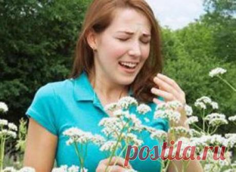 Аллергия на цветение и пыльцу: лечение народными средствами - Onwomen.ru