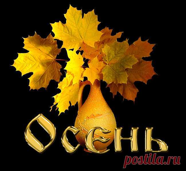 Осень Gif эпиграф - 21 Сентября 2014 - Анимация Gif - Красивая Анимация
