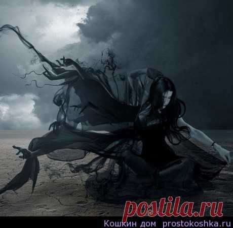 Вызов черный | Кошкин дом