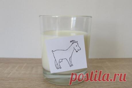 Что можно пить кошкам, кроме воды? Вкусные напитки для ваших питомцев | ikoshkiru - Мир кошек | Дзен