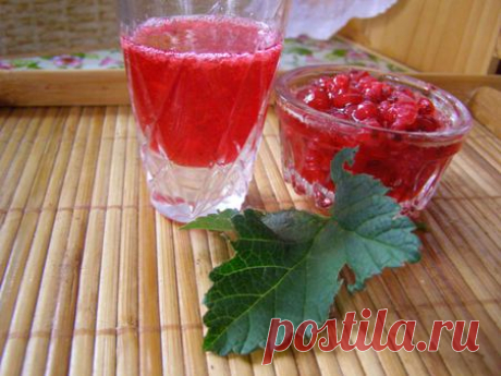Красная смородина на зиму – лучшие рецепты домашних заготовок, делюсь!