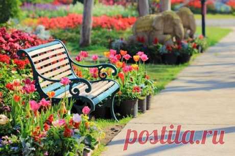 Социальная сеть Мой Мир@Mail.Ru: Ваши одноклассники, однокурсники и друзья в контакте с Вами!