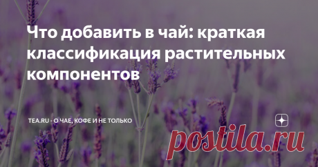 Что добавить в чай: краткая классификация растительных компонентов
