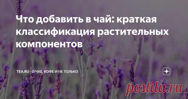 Что добавить в чай: краткая классификация растительных компонентов