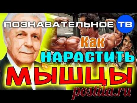 Как нарастить мышцы? (Познавательное ТВ, Иван Неумывакин)