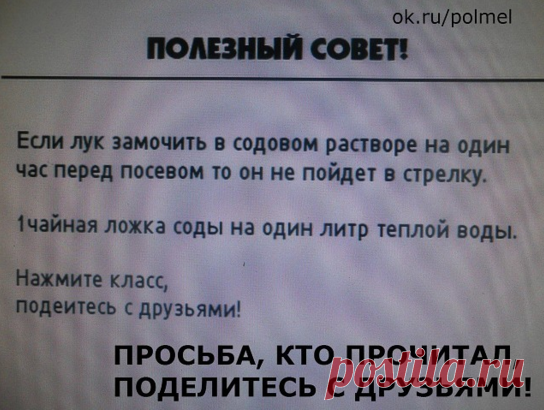(52) Одноклассники