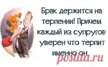 Я отличная хозяйка, жена и мама