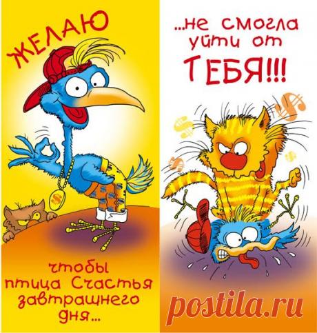 Ржачные картинки «С днем рождения!» (35 фото) ⭐ Забавник