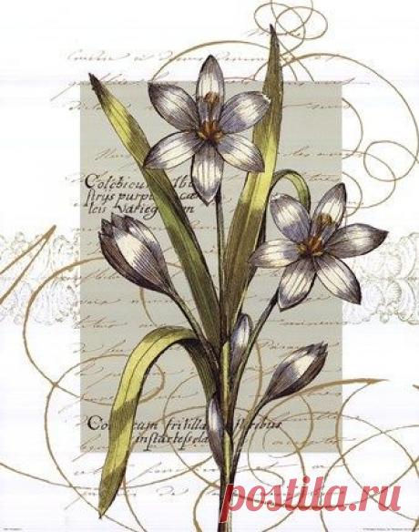 Найдено на сайте fulcrumgallery.com.