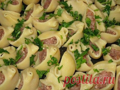 Ракушки с фаршем и соусом бешамель. Блюдо, которое нравится всем без исключения! Готовится очень быстро!Ингредиенты для ракушек (на 6 порций):30 шт. – крупных макарон-ракушек650 г – фарша любого2 шт. – сладкого перца70 г – тертого сыра4 пера — зеленого лука