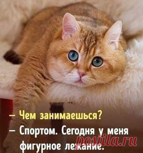 (1) Facebook