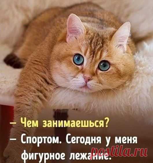 (1) Facebook