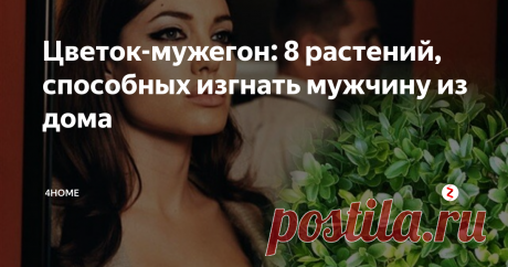 Цветок-мужегон: 8 растений, способных изгнать мужчину из дома Поверья гласят: в доме, где они есть, будут ссоры и разлад в семье вплоть до того, что мужчина там жить не сможет и уйдет. А одинокая девушка так и не выйдет замуж. Верить или нет в эти суеверия, решать вам. Узнайте, что это за цветы: вот 8 из них, самых распространенных.