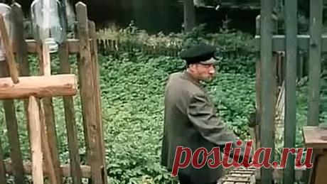 Эээх! Добрые советские фильмы!