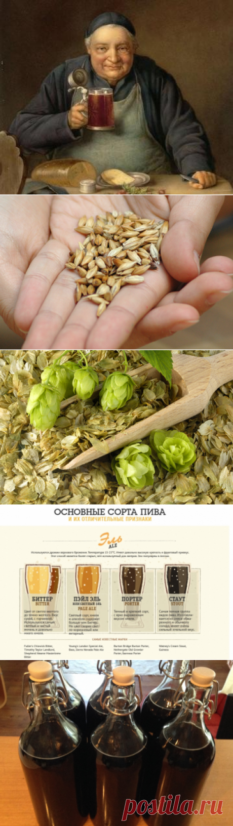 Сам себе пивовар: три самых простых рецепта домашнего пива | Четыре вкуса