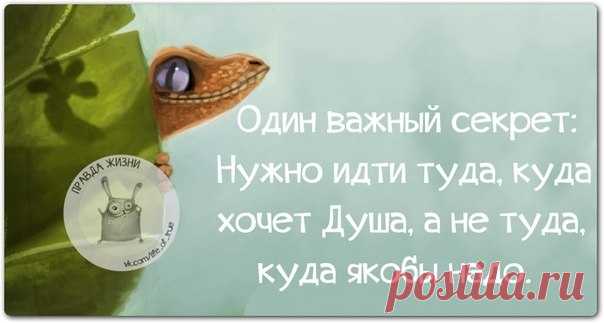 Правда Жизни | Юмор, Мотивация, Сарказм, Цитаты