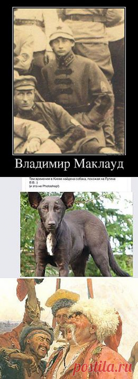 FISHKI.NET - Фотографии Хроники