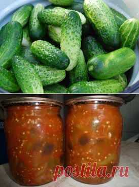 Огурец хрустящий - делаем вкусные заготовки на зиму
