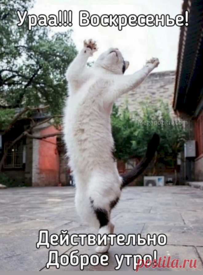 Выпуск №5933 - выпуск анекдотов сайта вокруг смеха