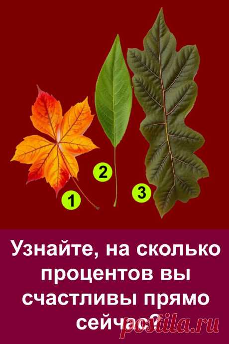 Простой и добрый тест по листьям, который поможет вам узнать, на сколько процентов вы счастливы прямо сейчас. Выберите один из трёх листочков на картинке — и прочитайте своё послание. Точный, тёплый и вдохновляющий тест подскажет, чего вам не хватает для полной гармонии. Проверено — каждый найдёт что-то важное для себя!