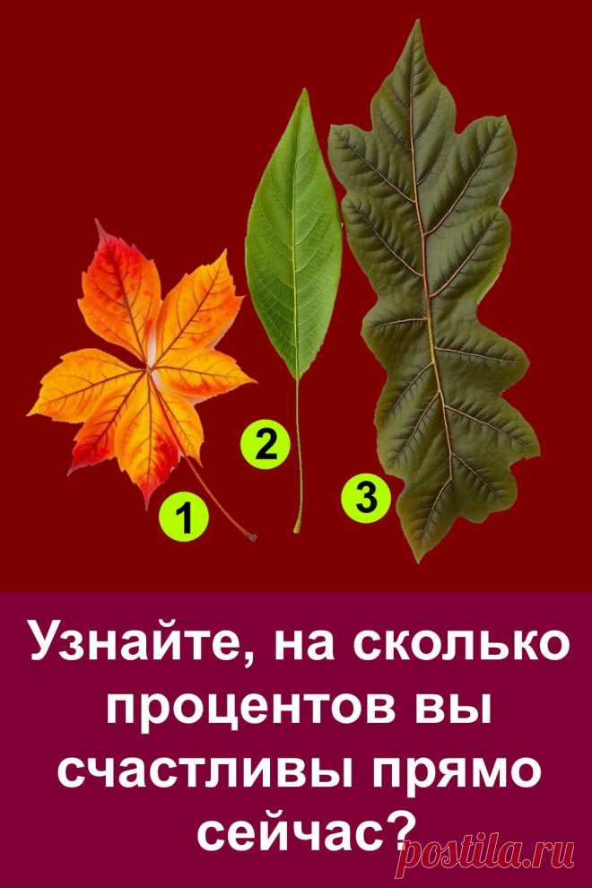 Простой и добрый тест по листьям, который поможет вам узнать, на сколько процентов вы счастливы прямо сейчас. Выберите один из трёх листочков на картинке — и прочитайте своё послание. Точный, тёплый и вдохновляющий тест подскажет, чего вам не хватает для полной гармонии. Проверено — каждый найдёт что-то важное для себя!