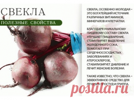 (3) Одноклассники