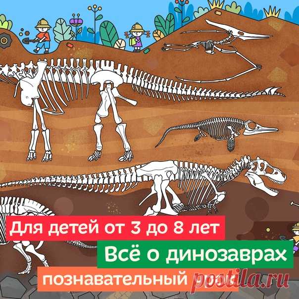 Развлекательно-познавательный сайт для детей от 3 до 8 лет
👉  👈

Кто обитал на планете 200 миллионов лет назад, у кого в желудке было много камней, и какой динозавр был размером с два футбольных поля, а какой с кошку? Об этом и многом другом вам расскажет Чевостик!

Урок «Динозавры. Настоящие монстры»
👉  👈