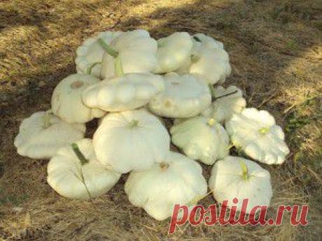 Легкий способ избавиться от известкового налета без применения химии. Используйте обычный лимон. | Упрости себе жизнь