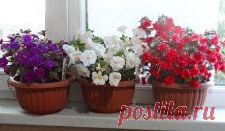 Одноклассники