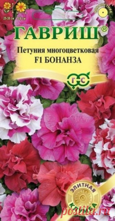 Семена. Петуния "Бонанза F1", многоцветковая, махровая (10 штук) Всхожесть: 91.
Гранулы в пробирке.
Безупречная по красоте рано и обильно цветущая смесь многоцветковой петунии. Роскошные махровые соцветия диаметром 5-6 см, разнообразной окраски на ветвистых, аккуратных кустиках высотой 25-38 см и диаметром 25-30 см. Смесь обладает высокой устойчивостью...