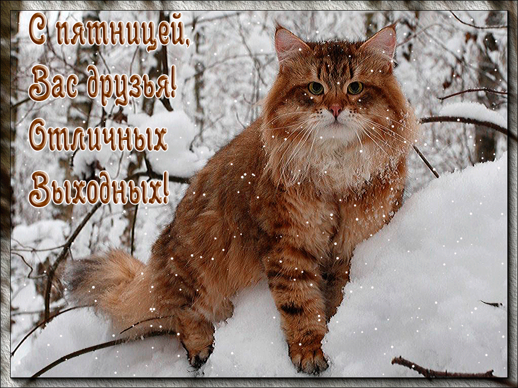 Открытки анимация С пятницей | Открытки анимация