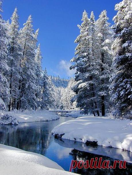 Donner Creek, snow and trees | Flickr: Intercambio de fotos  | tylisha graham приколол(а) это к доске Winter