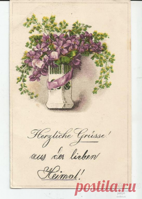 5342_pozdravitelnaja_cvety.jpg (547×768)